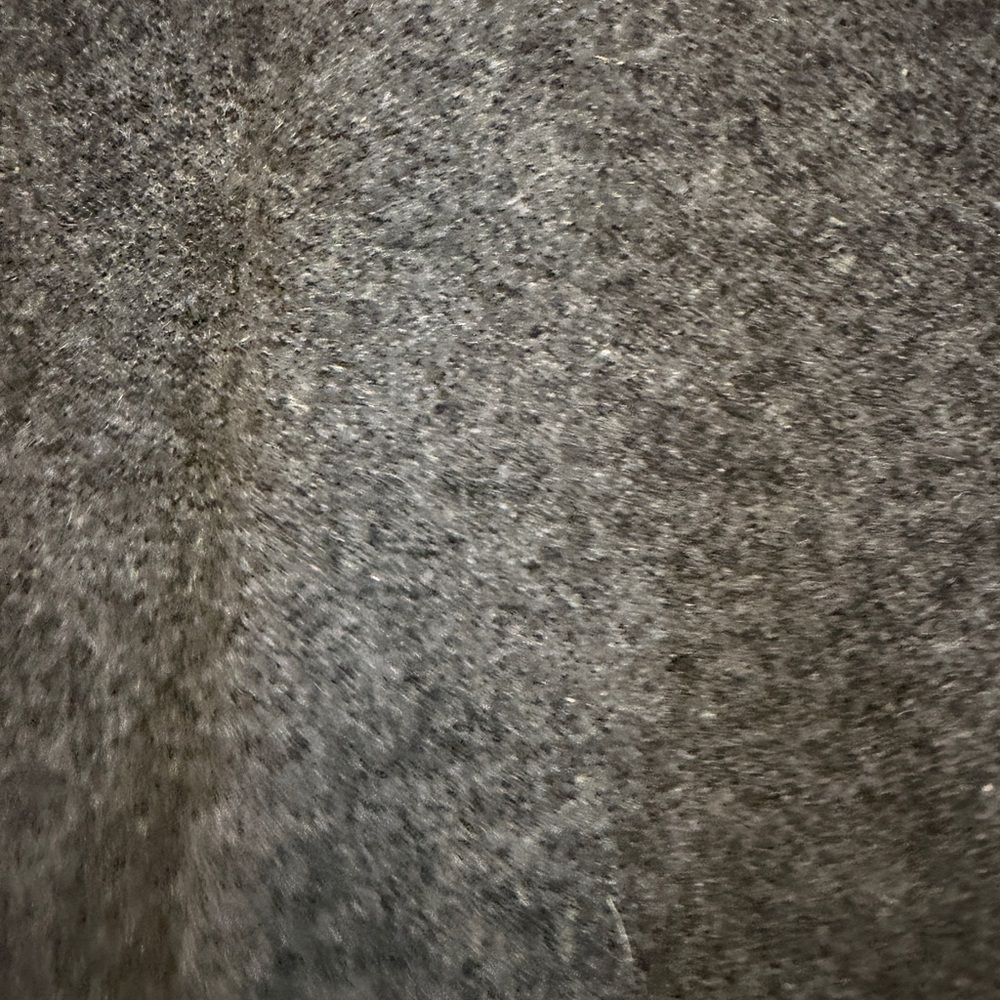 Lord & Taylor Charcoal Cardigan with Lavender Argyle Trim - Picture 3 of 4